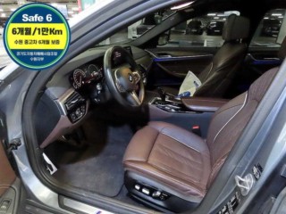 BMW 5시리즈 5시리즈 (G30) 530i xDrive M 스포츠 플러스