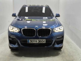 BMW X3 X3 (G01) xDrive 30e M 스포츠