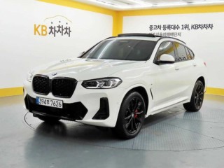 BMW X4 X4 (G02) xDrive 20i M 스포츠 프로