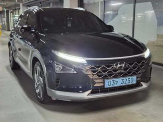 현대 넥쏘 프리미엄