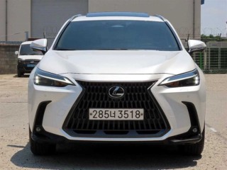 렉서스 NX NX 450h+ 프리미엄