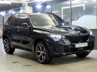 BMW X5 X5 (G05) xDrive 40i M 스포츠