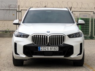BMW X5 X5 (G05) xDrive 40i M 스포츠