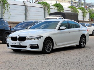BMW 5시리즈 5시리즈 (G30) 530i M 스포츠
