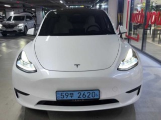 테슬라 모델 Y RWD
