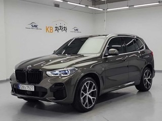 BMW X5 X5 (G05) xDrive 30d M 스포츠