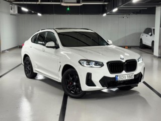 BMW X4 X4 (G02) xDrive 20i M 스포츠 프로