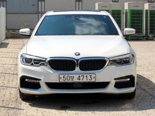 BMW 5시리즈 5시리즈 (G30) 530i xDrive M 스포츠 플러스