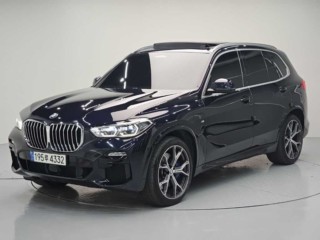 BMW X5 X5 (G05) xDrive 45e M 스포츠