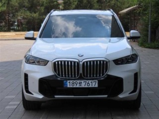 BMW X5 X5 (G05) xDrive 30d M 스포츠
