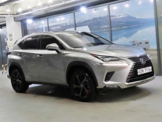 렉서스 NX NX 300h 이그제큐티브