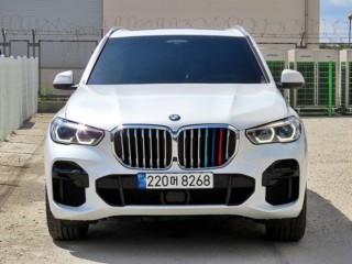 BMW X5 X5 (G05) xDrive 40i M 스포츠