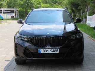 BMW X6 X6 (G06) xDrive 30d M 스포츠