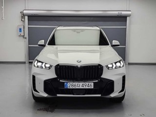 BMW X5 X5 (G05) xDrive 30d M 스포츠