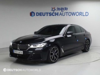 BMW 5시리즈 5시리즈 (G30) 530i xDrive M 스포츠