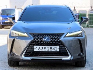 렉서스 UX UX 250h 2.0 AWD