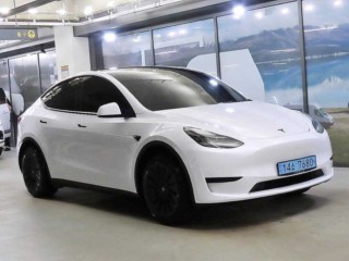 테슬라 모델 Y RWD