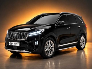 기아 쏘렌토 더 뉴 쏘렌토 디젤 2.2 2WD 노블레스