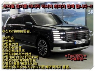 현대 팰리세이드 디 올 뉴 팰리세이드 2.5T 4WD 9인승 캘리그래피