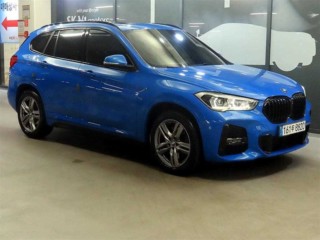 BMW X1 X1 (F48) xDrive 20i M 스포츠