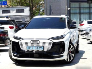 아우디 SQ6 SQ6 e-트론 콰트로