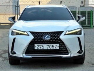 렉서스 UX UX 250h 2.0 AWD