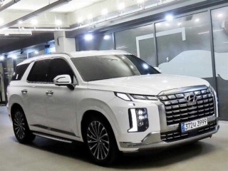 현대 팰리세이드 더 뉴 팰리세이드 가솔린 3.8 4WD VIP