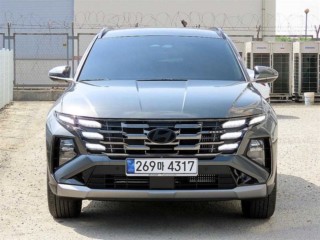현대 투싼 더 뉴 투싼 하이브리드 (NX4) HEV 1.6 4WD H-픽