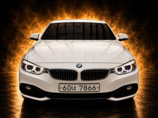 BMW 4시리즈 4시리즈 (F32) 420d 쿠페 럭셔리
