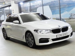 BMW 5시리즈 5시리즈 (G30) 530i M 스포츠 플러스