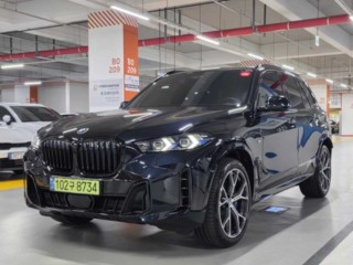 BMW X5 X5 (G05) xDrive 40i M 스포츠