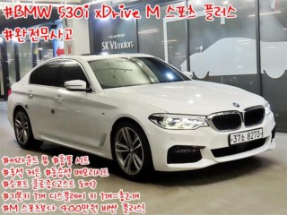 BMW 5시리즈 5시리즈 (G30) 530i xDrive M 스포츠 플러스