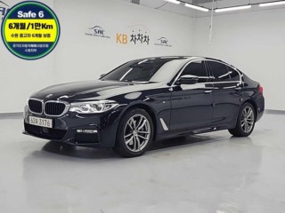BMW 5시리즈 5시리즈 (G30) 530i xDrive M 스포츠 플러스