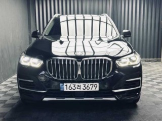 BMW X5 X5 (G05) xDrive 45e M 스포츠