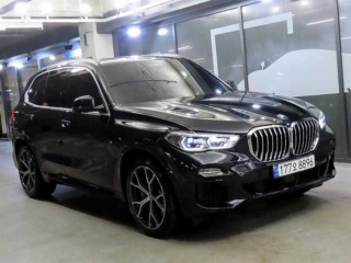 BMW X5 X5 (G05) xDrive 45e M 스포츠