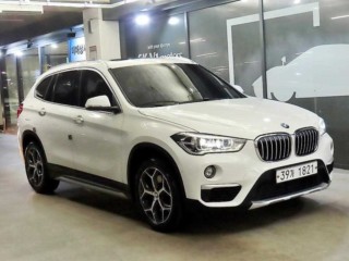 BMW X1 X1 (F48) xDrive 20d xLine