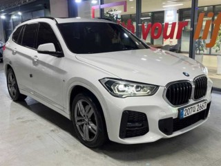 BMW X1 X1 (F48) xDrive 20i M 스포츠