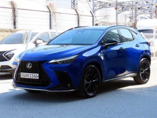 렉서스 NX NX 450h+ F 스포츠