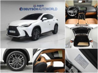 렉서스 NX NX 350h 력셔리
