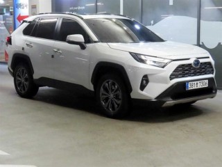 토요타 라브4 RAV4(5세대) 2.5 4WD 하이브리드 LTD