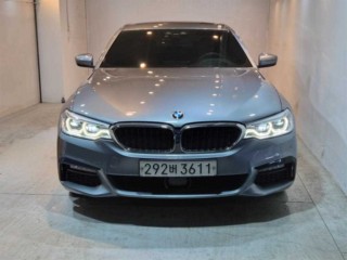 BMW 5시리즈 5시리즈 (G30) 530i xDrive M 스포츠 플러스