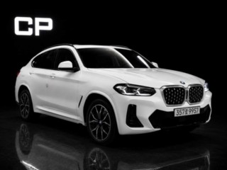 BMW X4 X4 (G02) xDrive 20i M 스포츠 프로
