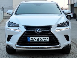렉서스 NX NX 300h 이그제큐티브