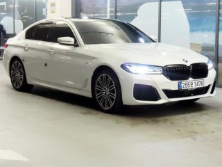 BMW 5시리즈 5시리즈 (G30) 530i M 스포츠 플러스