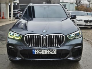 BMW X5 X5 (G05) xDrive 30d M 스포츠