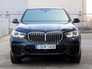 BMW X5 X5 (G05) xDrive 30d M 스포츠