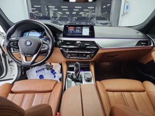 BMW 5시리즈 5시리즈 (G30) 530i xDrive M 스포츠