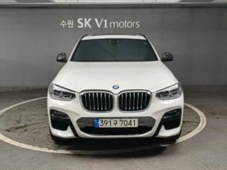 BMW X4 X4 (G02) xDrive 20i M 스포츠 X