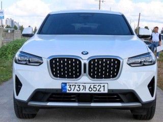 BMW X4 X4 (G02) xDrive 20i xLine