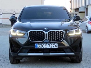 BMW X4 X4 (G02) xDrive 20d xLine